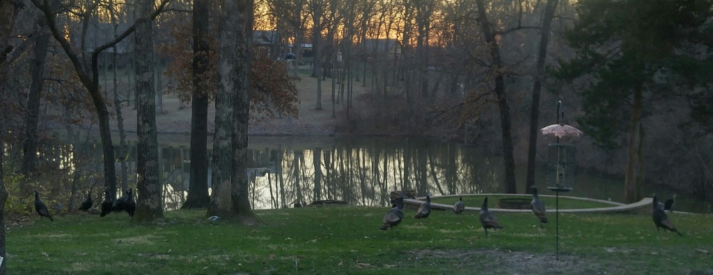 Click picture to ZOOM